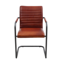 Dining Chair Sammy R25 WA Cognac 1_clipped_rev_1